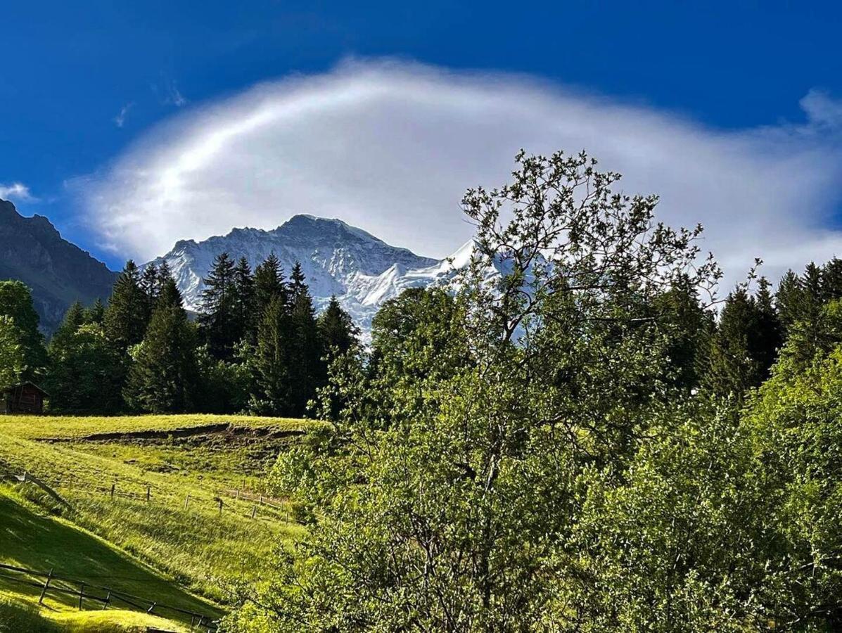 Chalet Viola Apartamento Wengen Exterior foto