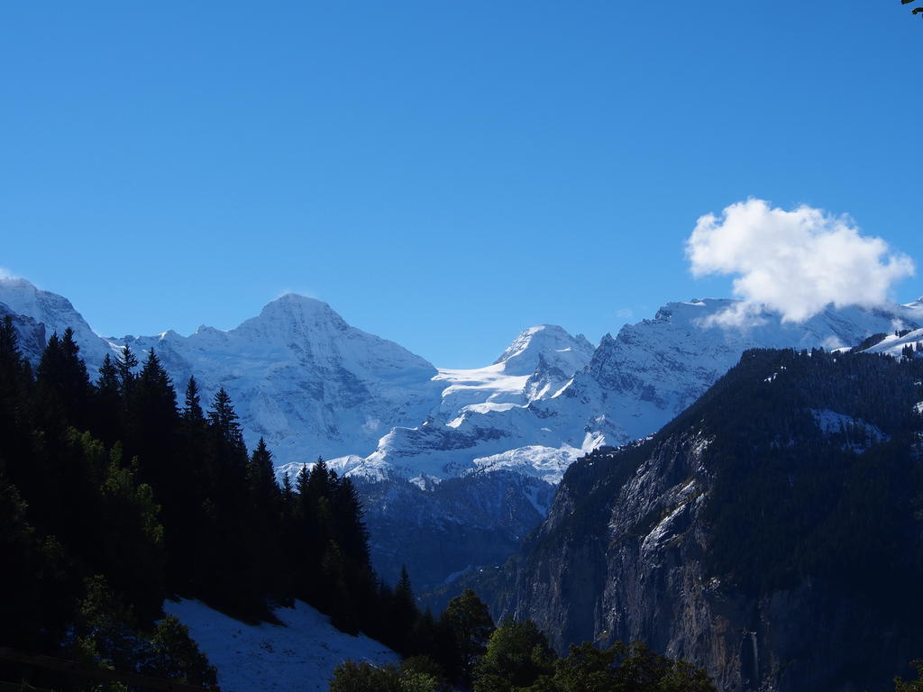 Chalet Viola Apartamento Wengen Exterior foto